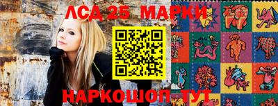 индика Малгобек