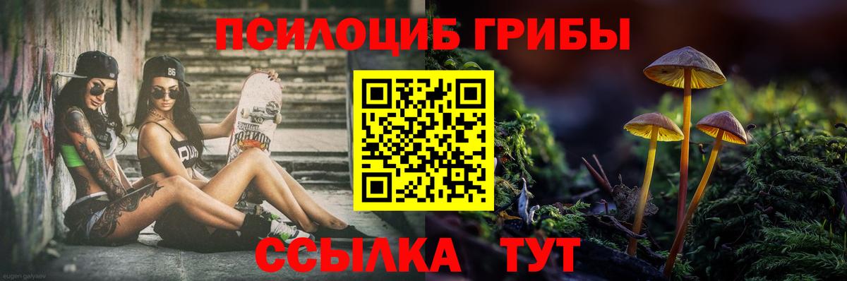 Псилоцибиновые грибы Magic Shrooms Рязань